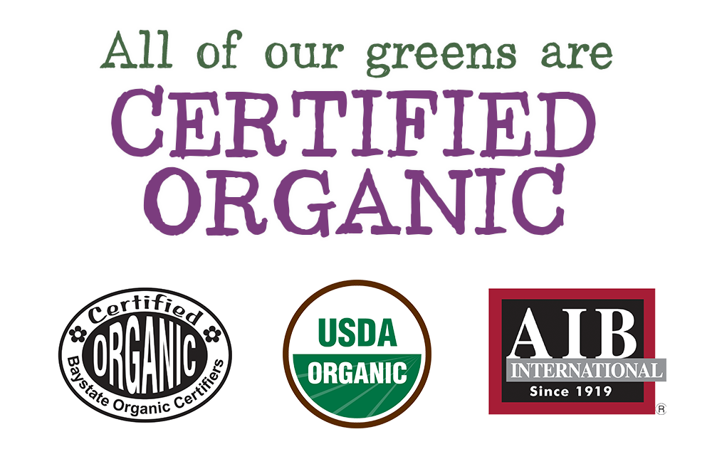 Certified organic | Fresh microgreens wheatgrass super greens MA RI