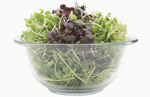 The Original Mix Super Salads organic microgreens sunflower kale radish arugula