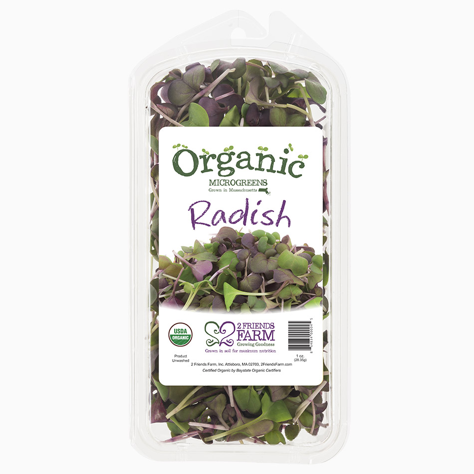 Radish Sprouts  | Organic micro-greens radish tender greens
