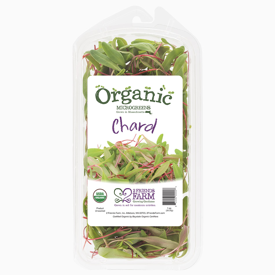 Ruby Red Chard | Organic microgreens fresh greens MA urban farm