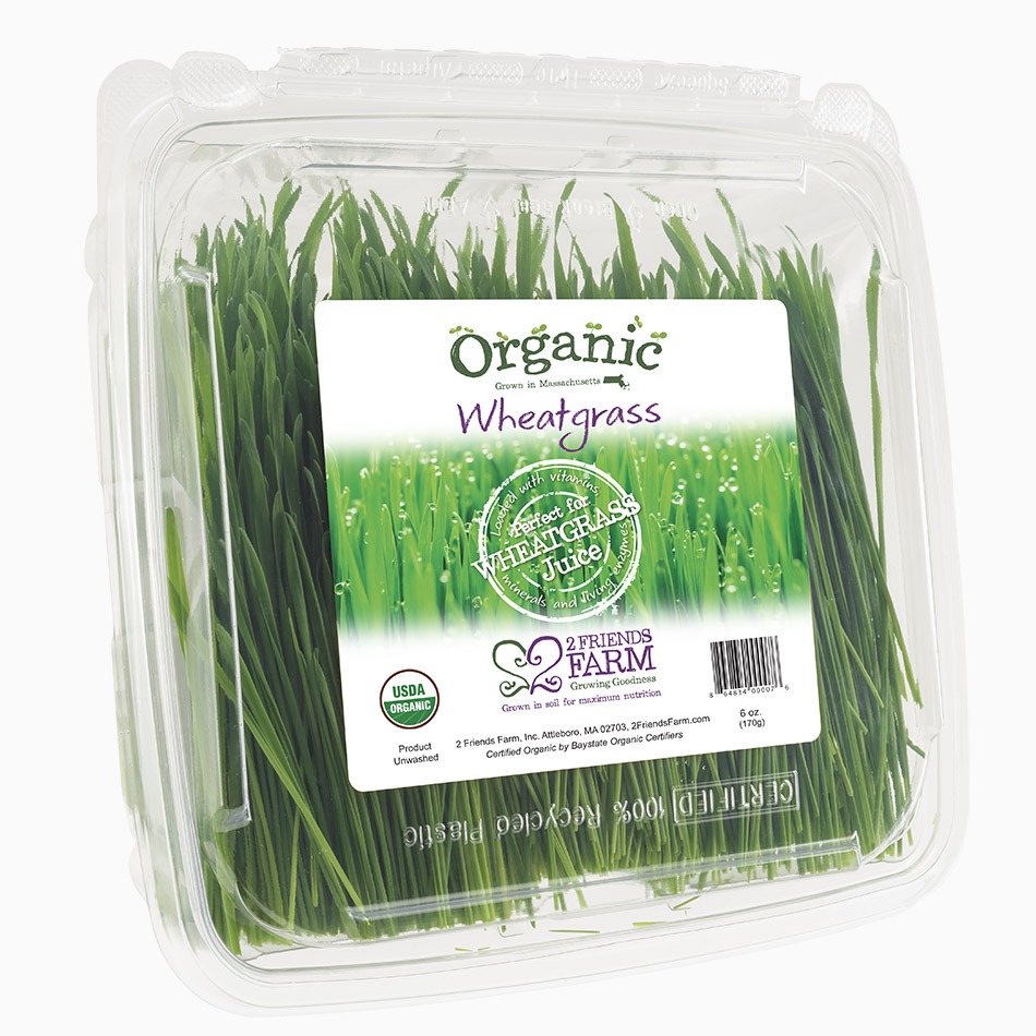 Organic Wheatgrass | Superfood green juice wheatgrass organic farm